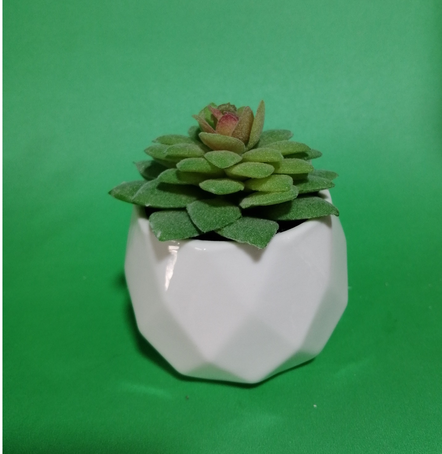 Macetitas - Imagen 2