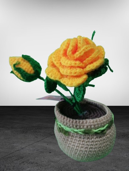 Rosa de Lana
