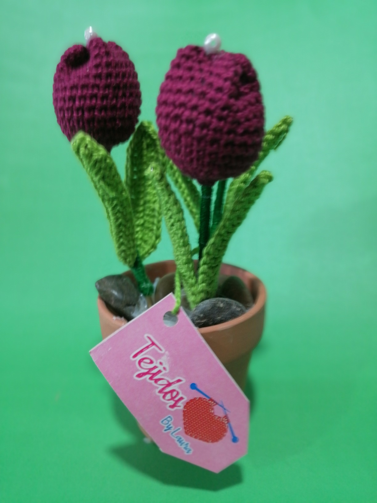 Rosa de Lana - Imagen 2